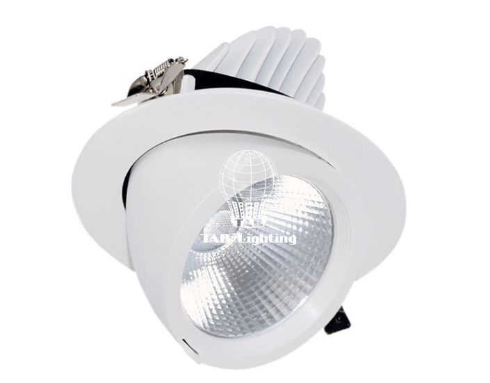 Đèn Led Downlight có chỉnh góc TAB LED DL 10