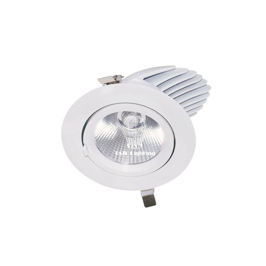 Đèn Led Downlight có chỉnh góc TAB LED DL 10