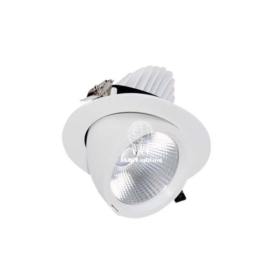 Đèn Led Downlight có chỉnh góc TAB LED DL 10